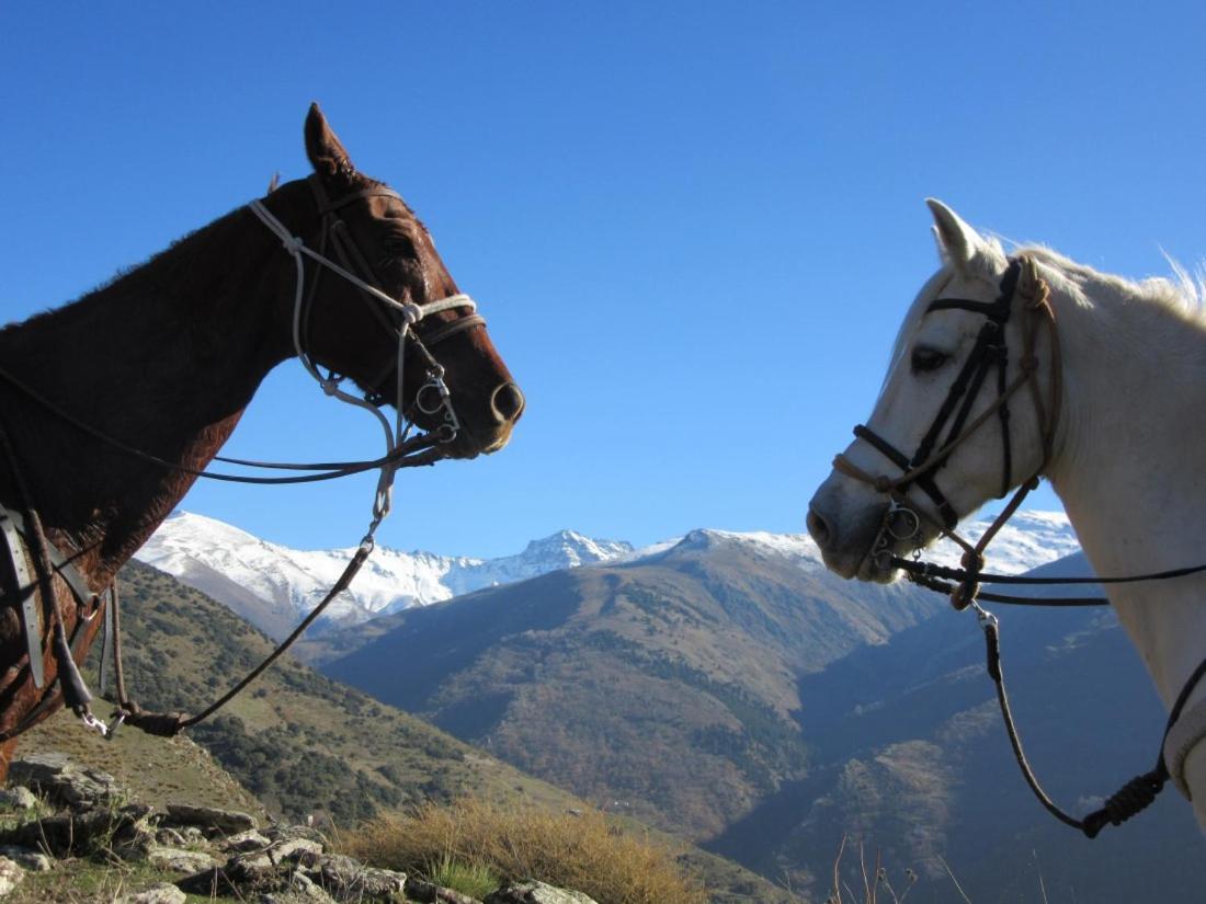 Guejar Sierra House With Spectacular Views 빌라 외부 사진